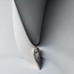 molis pak iltis baltas